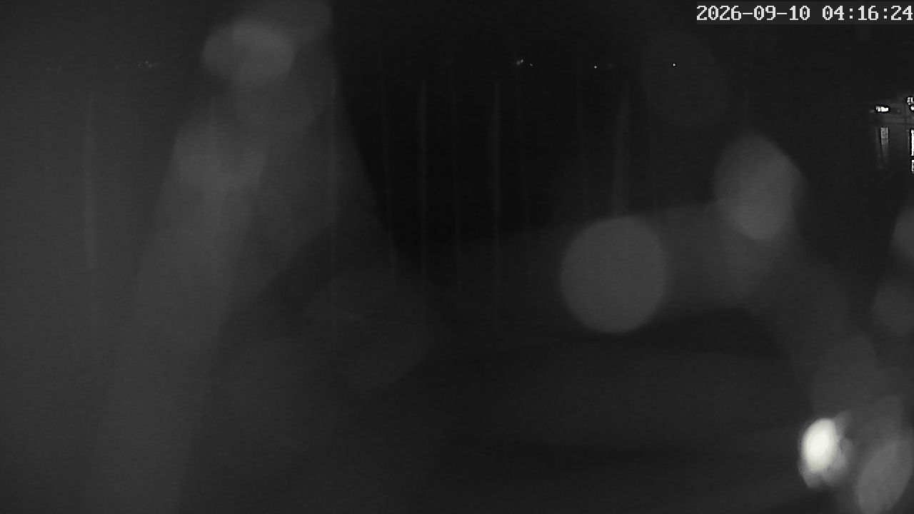 MRSV Bayern Webcam