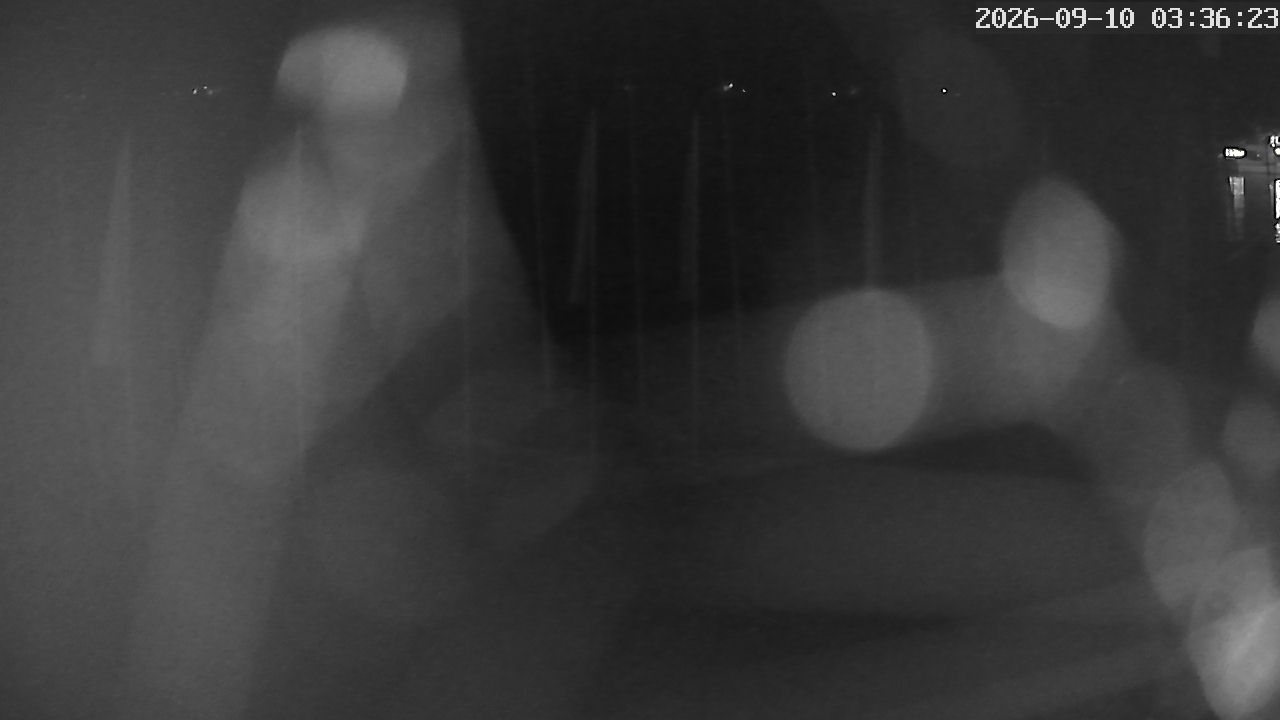 MRSV Bayern Webcam