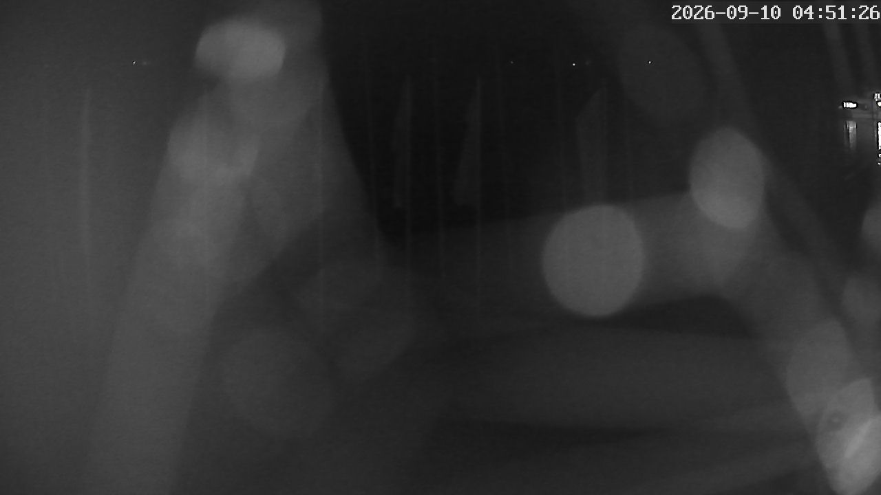 MRSV Bayern Webcam