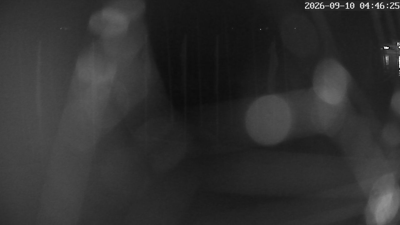 MRSV Bayern Webcam