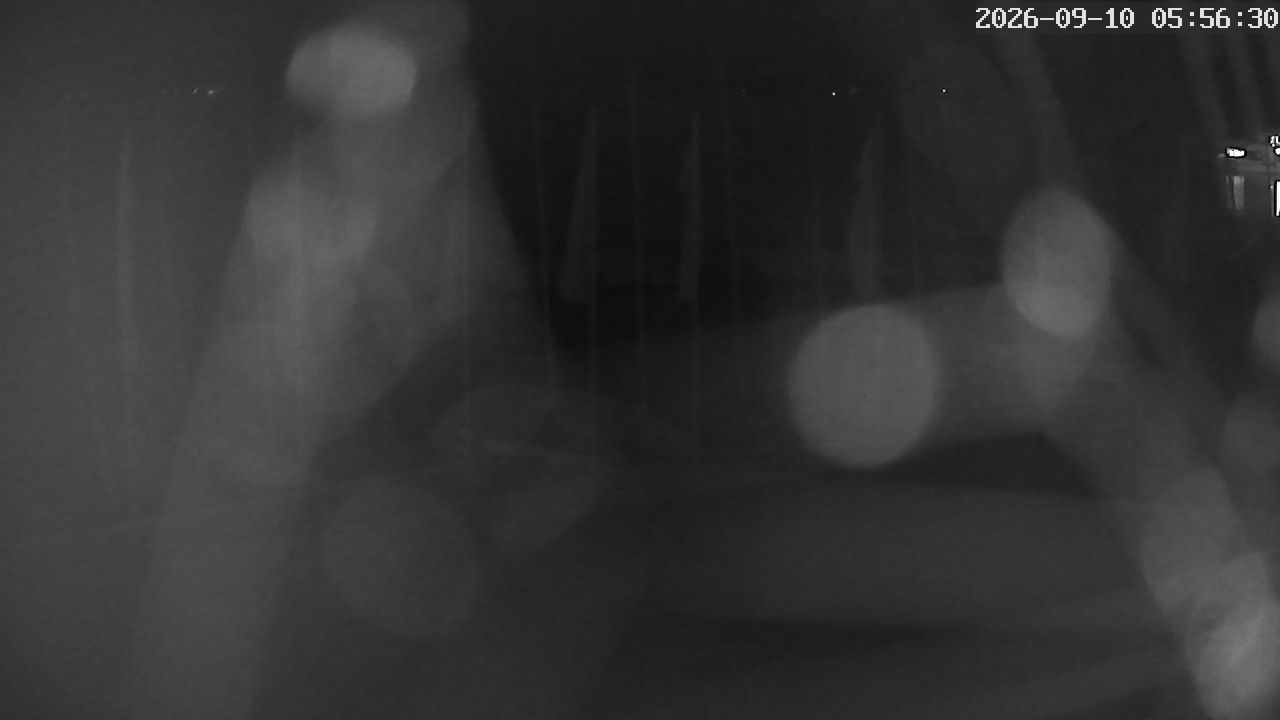 MRSV Bayern Webcam