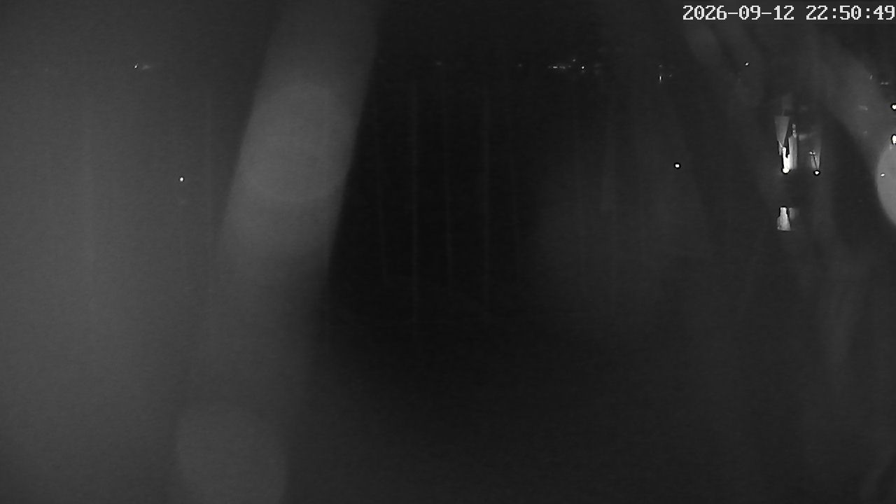 MRSV Bayern Webcam