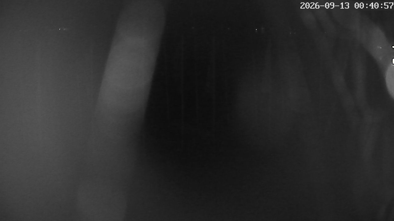 MRSV Bayern Webcam