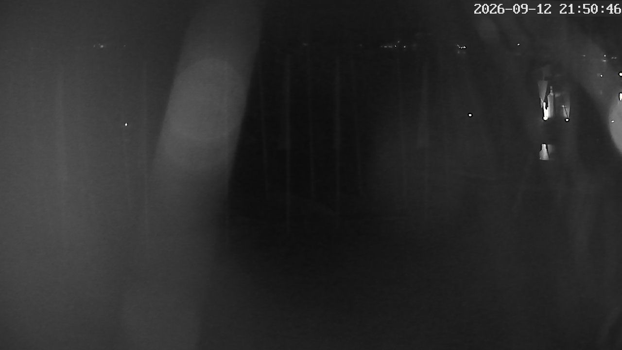 MRSV Bayern Webcam