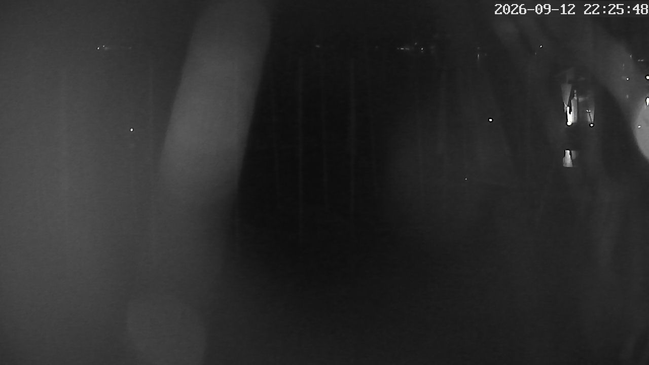 MRSV Bayern Webcam
