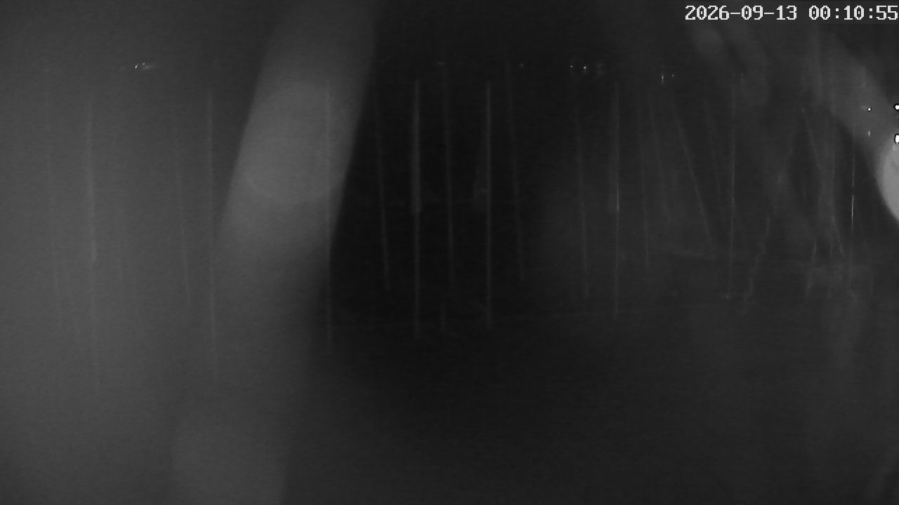 MRSV Bayern Webcam