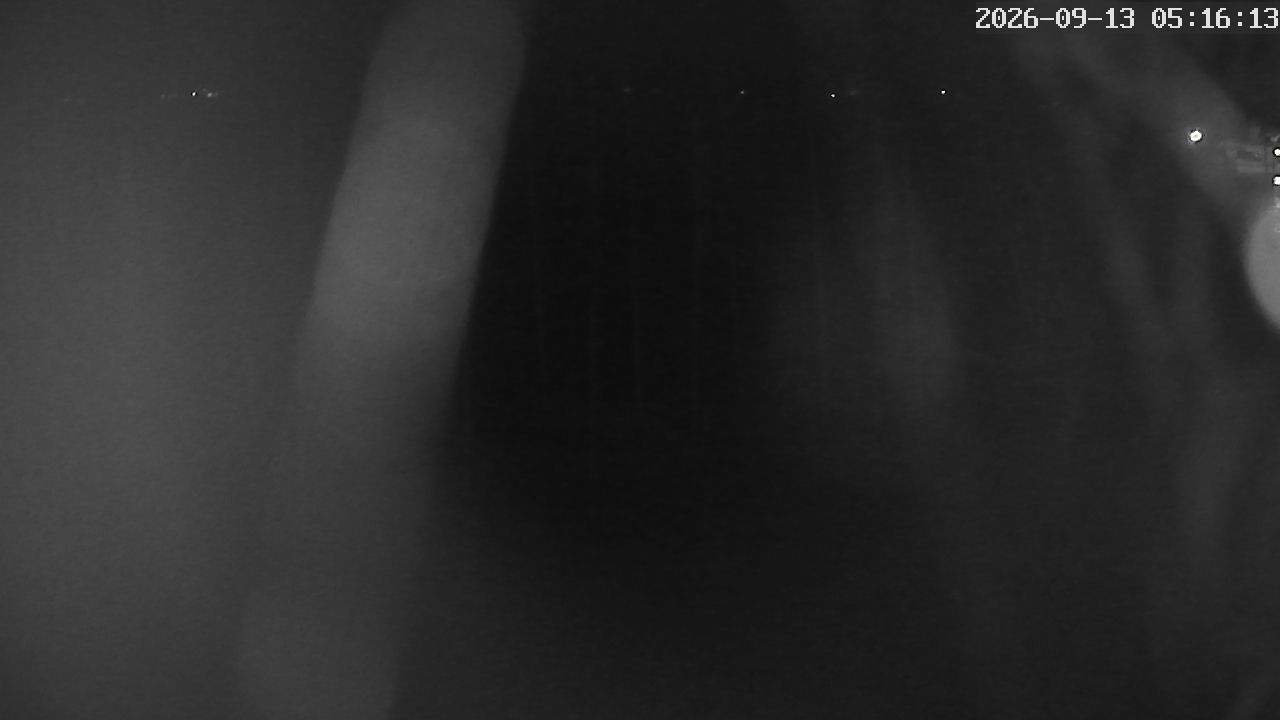 MRSV Bayern Webcam