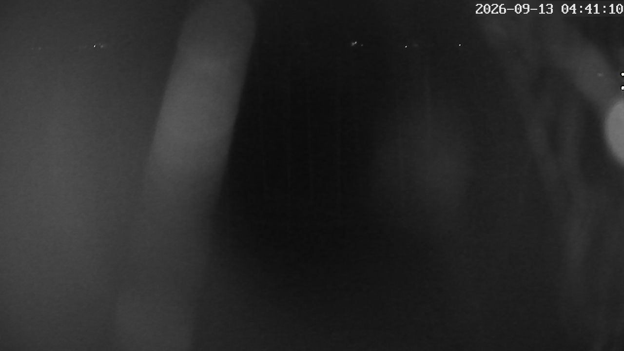 MRSV Bayern Webcam