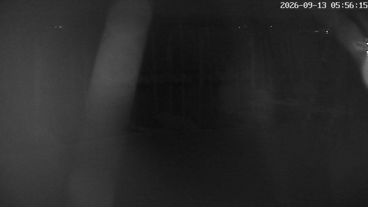 MRSV Bayern Webcam