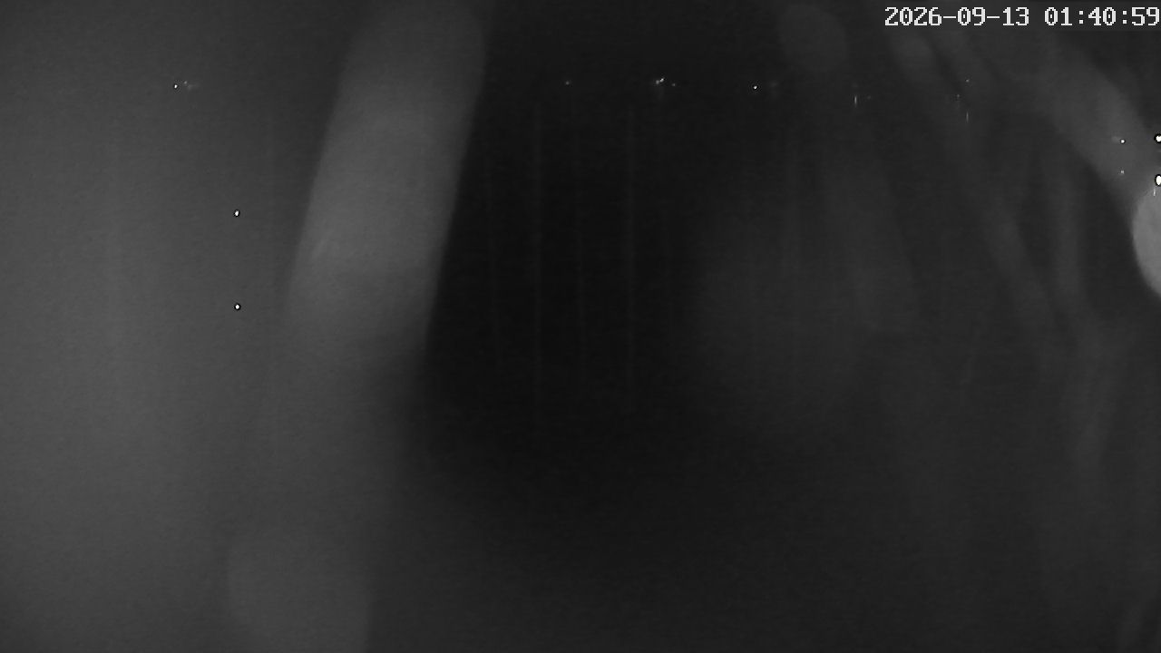 MRSV Bayern Webcam
