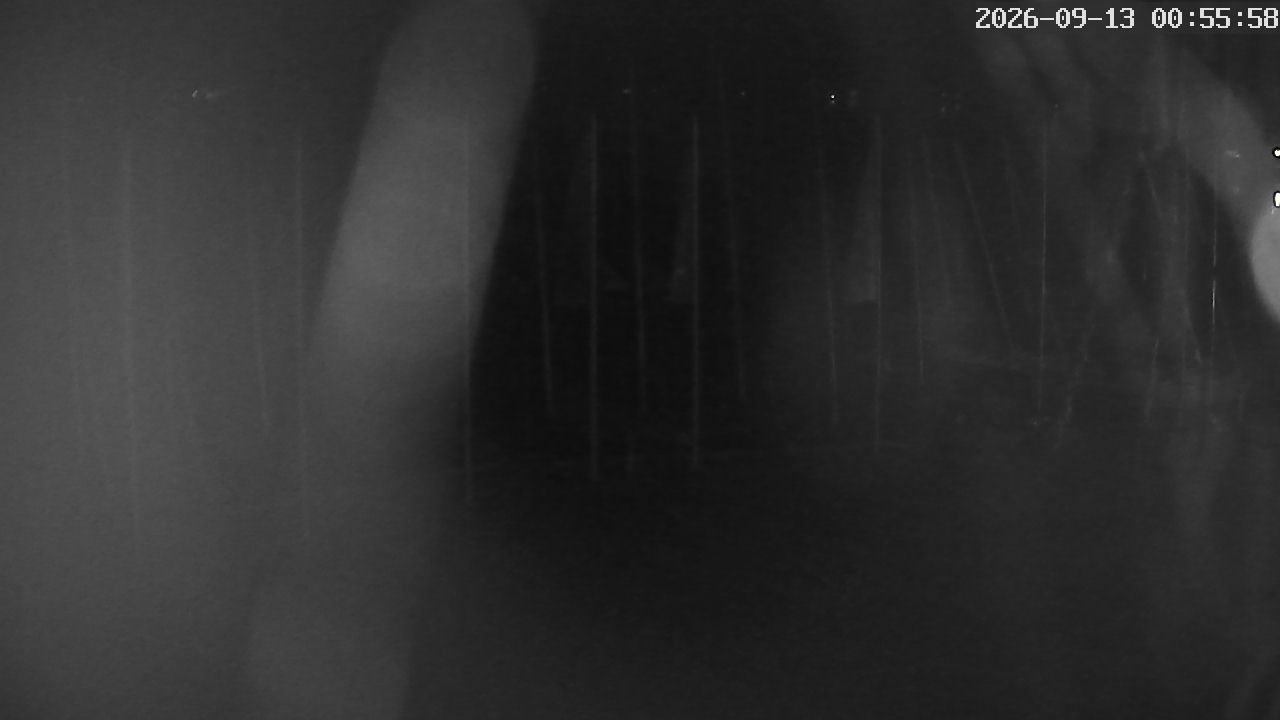 MRSV Bayern Webcam