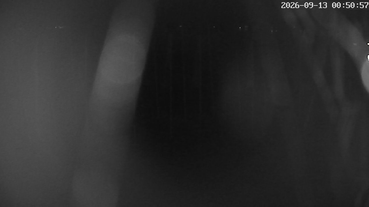MRSV Bayern Webcam