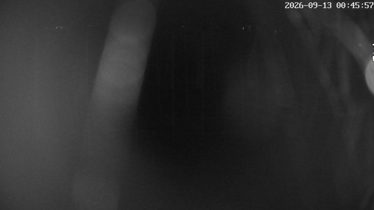 MRSV Bayern Webcam