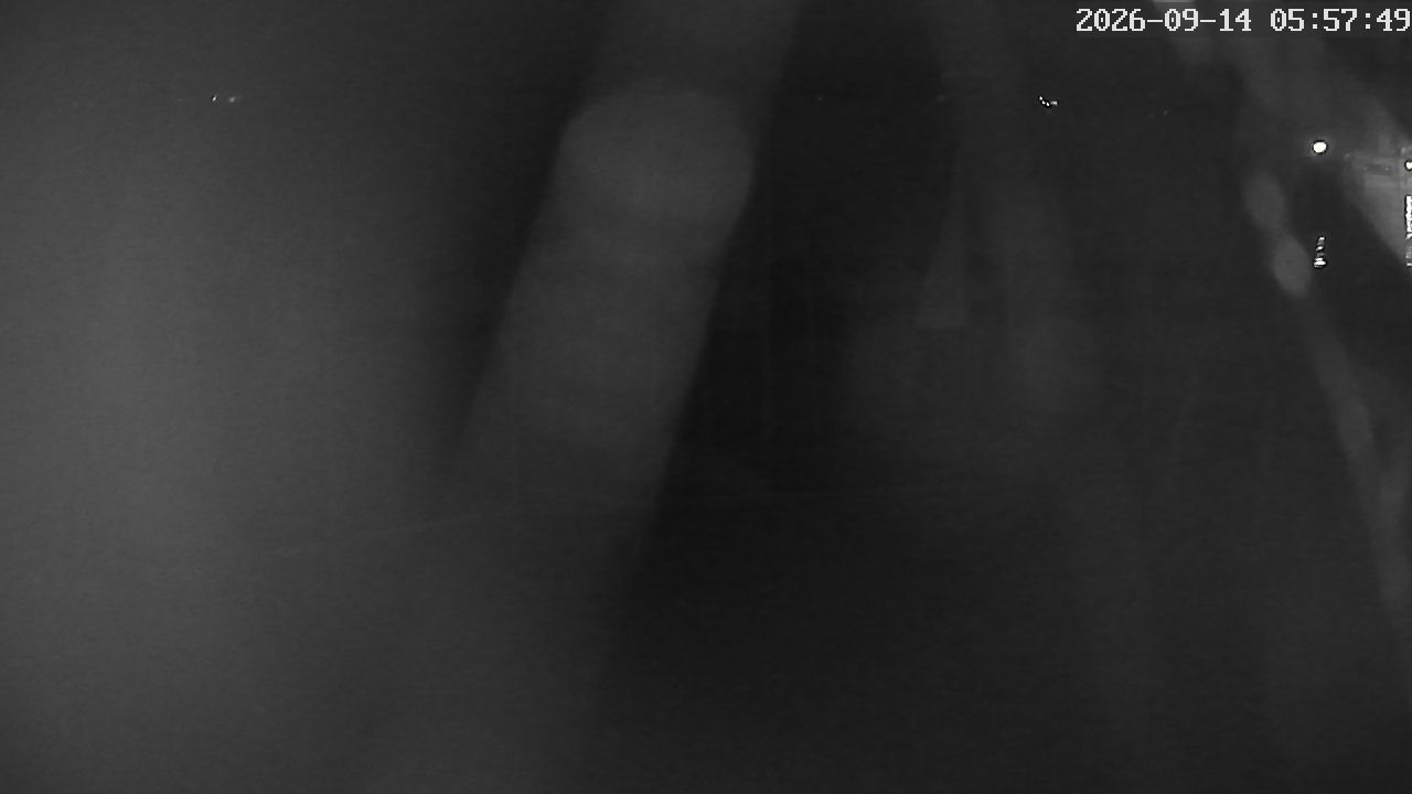 MRSV Bayern Webcam