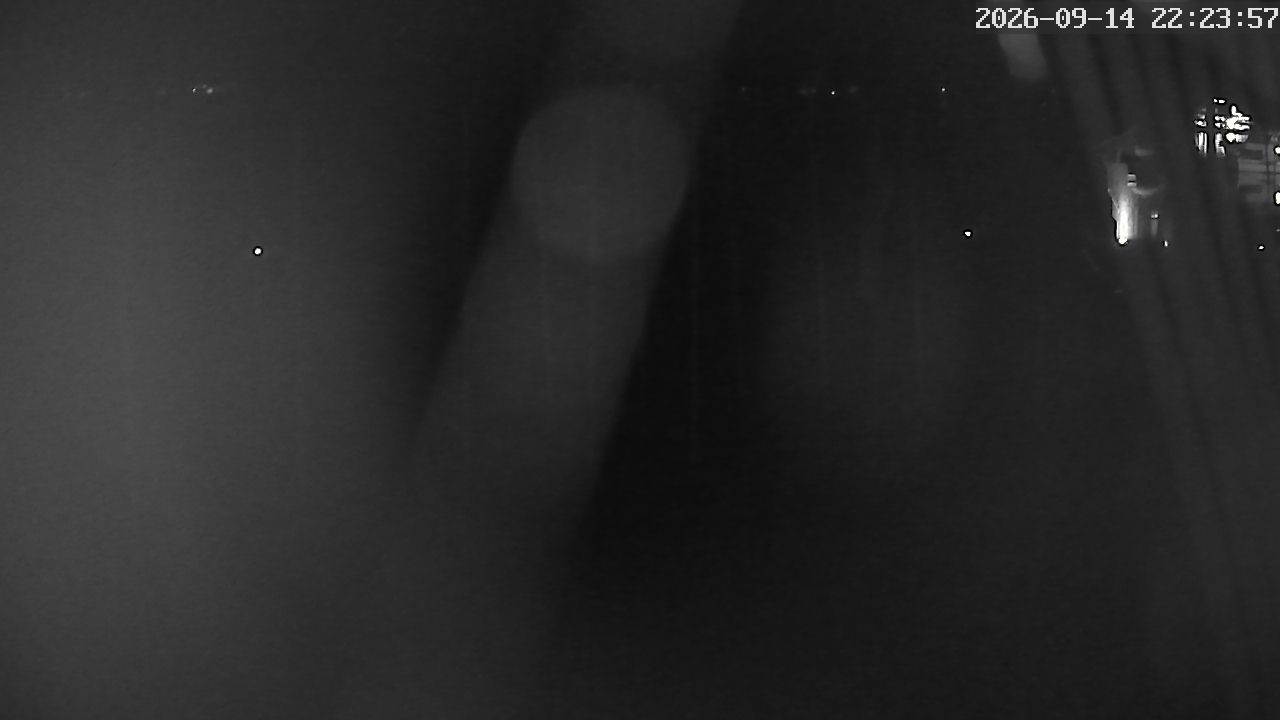MRSV Bayern Webcam