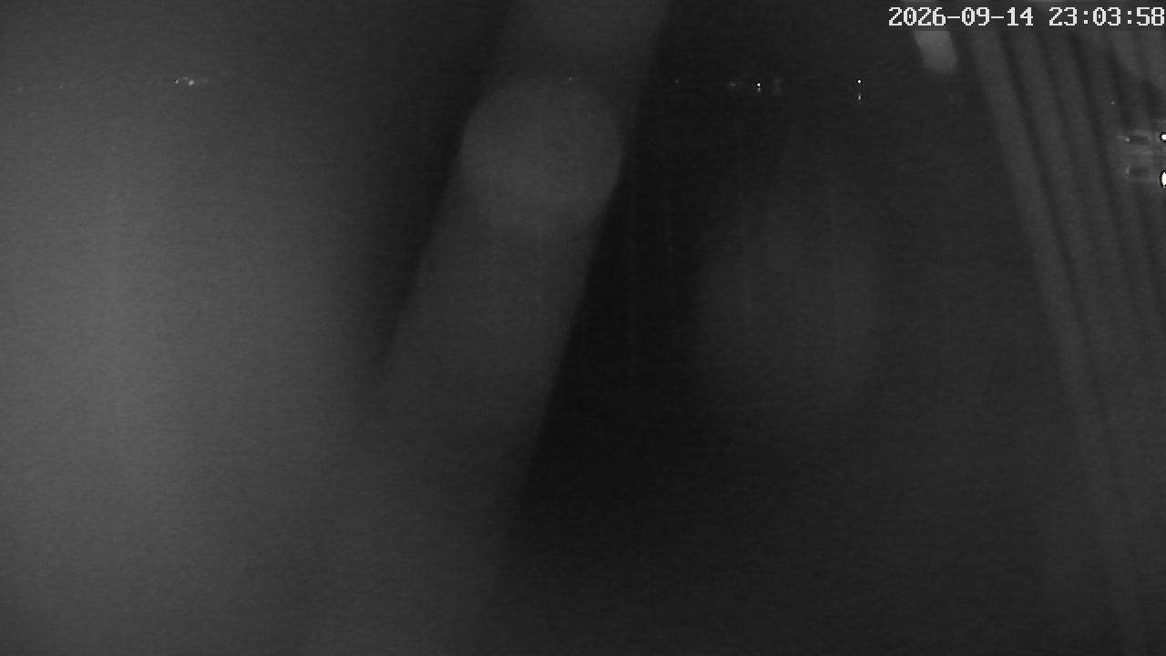 MRSV Bayern Webcam