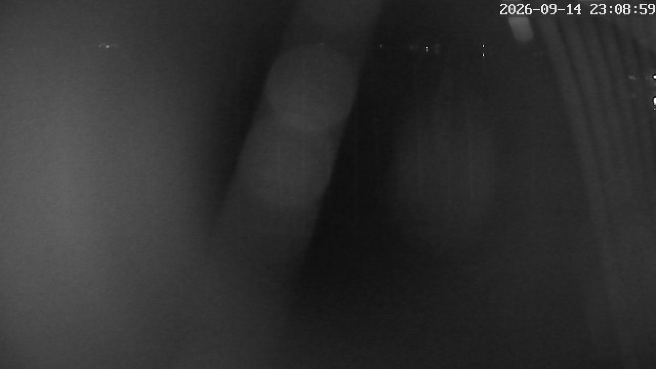 MRSV Bayern Webcam