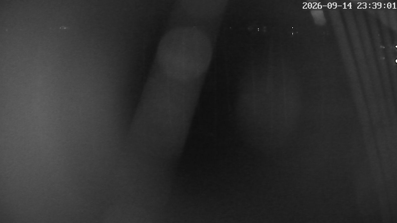 MRSV Bayern Webcam