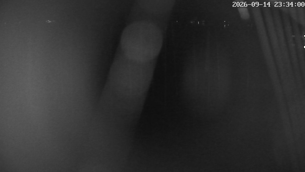 MRSV Bayern Webcam