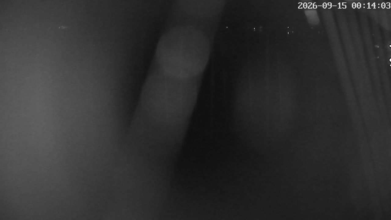 MRSV Bayern Webcam
