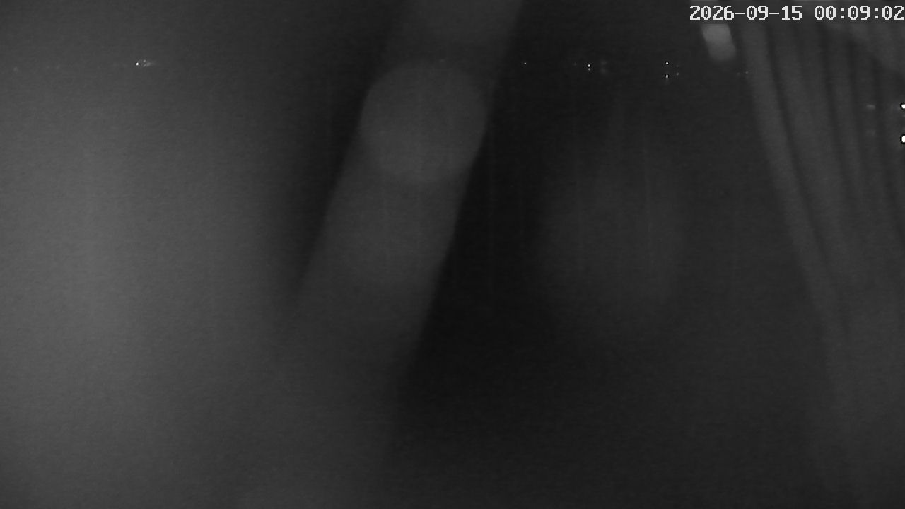 MRSV Bayern Webcam