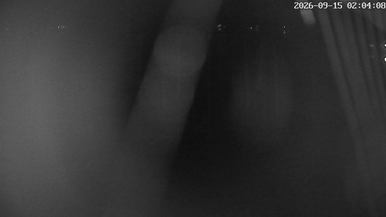 MRSV Bayern Webcam