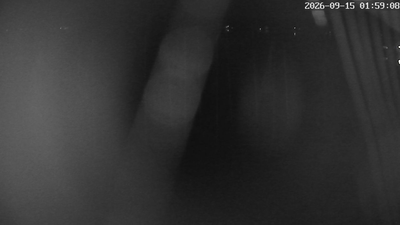 MRSV Bayern Webcam