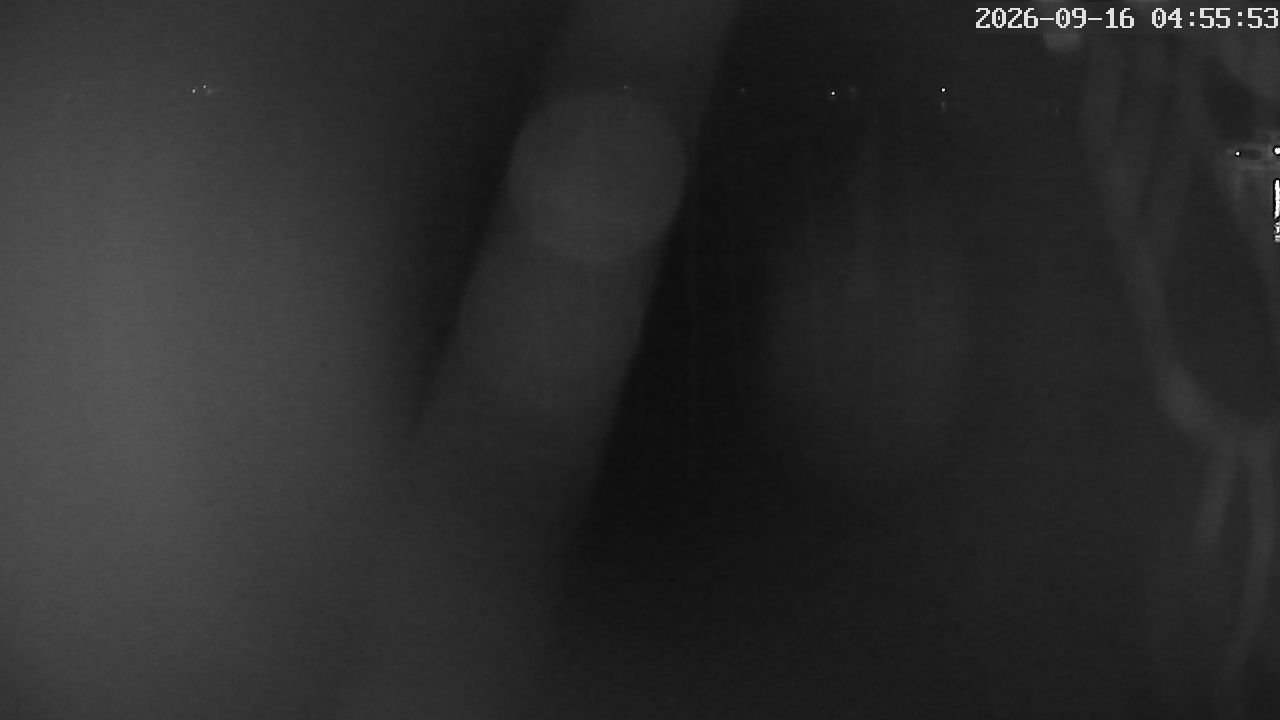 MRSV Bayern Webcam