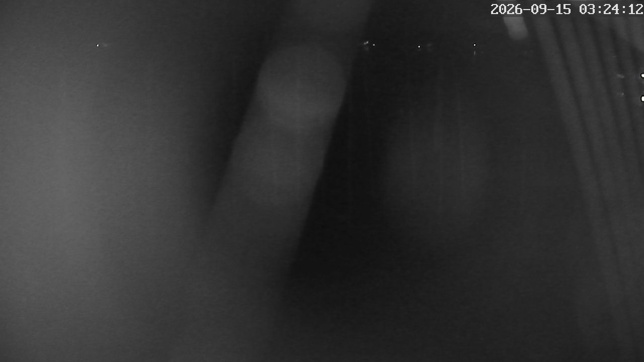 MRSV Bayern Webcam