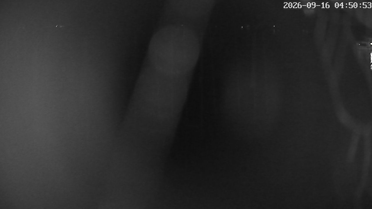 MRSV Bayern Webcam