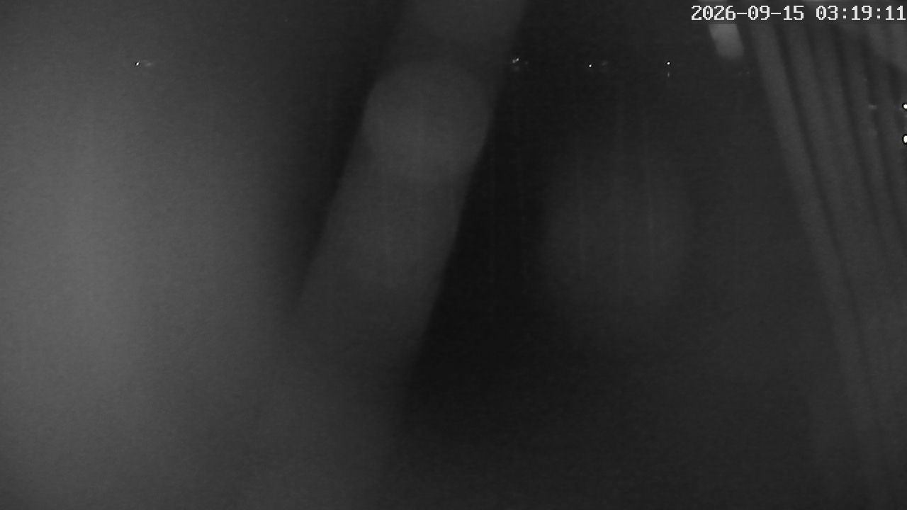 MRSV Bayern Webcam