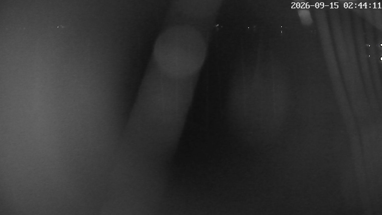 MRSV Bayern Webcam