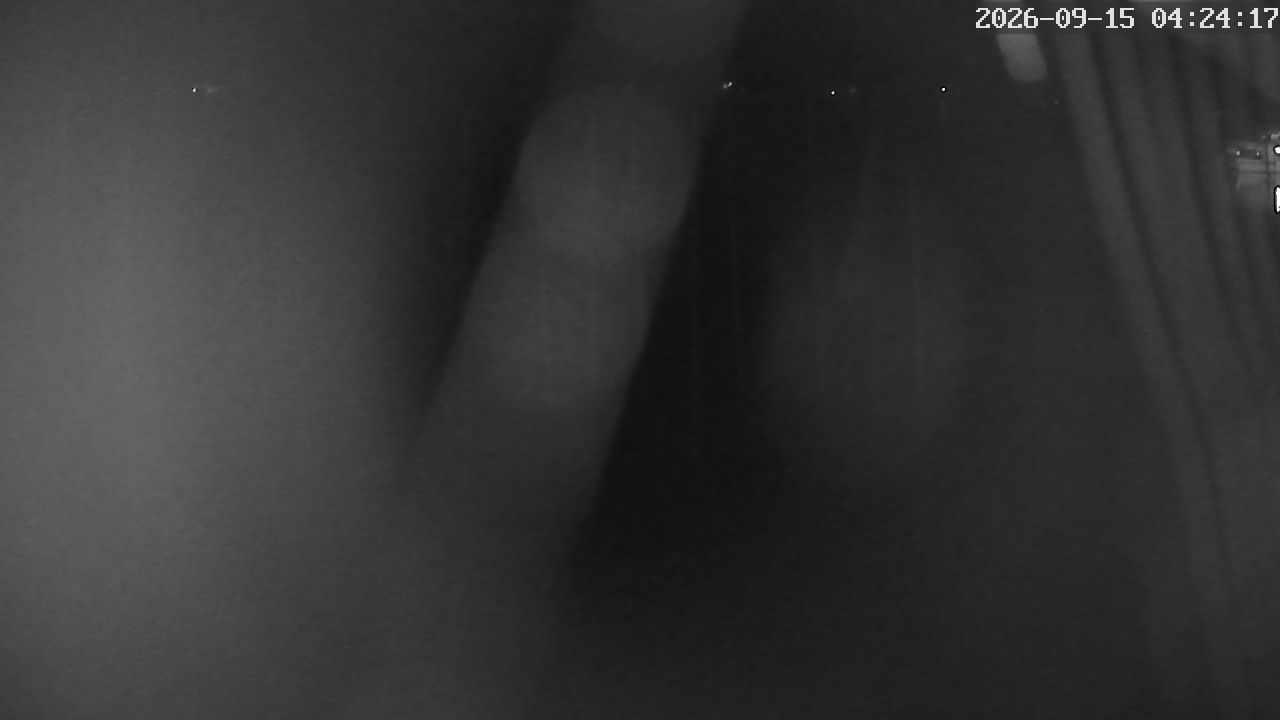 MRSV Bayern Webcam