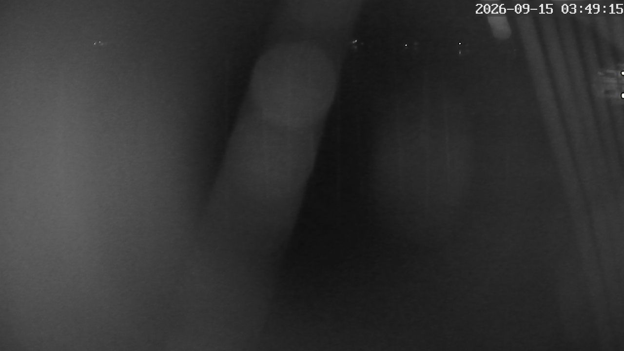 MRSV Bayern Webcam