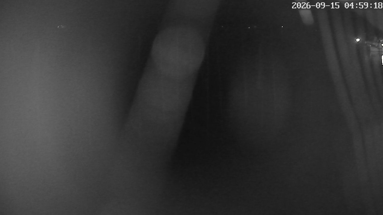 MRSV Bayern Webcam