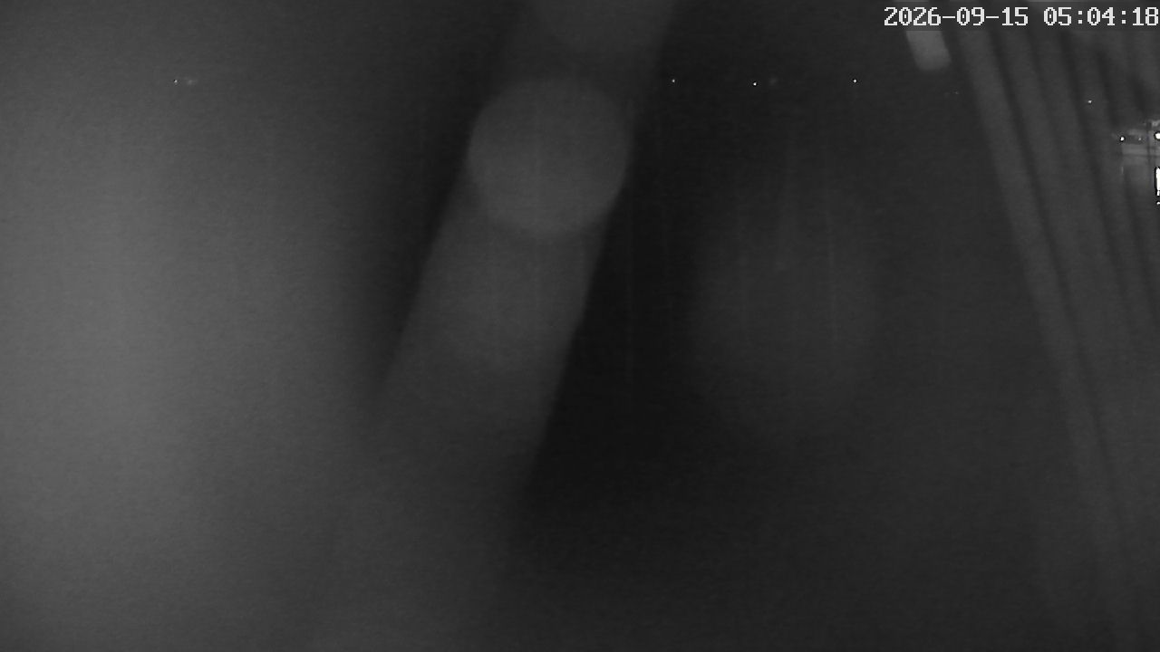 MRSV Bayern Webcam