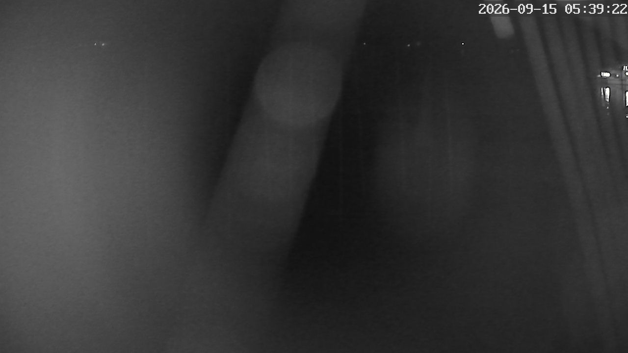 MRSV Bayern Webcam