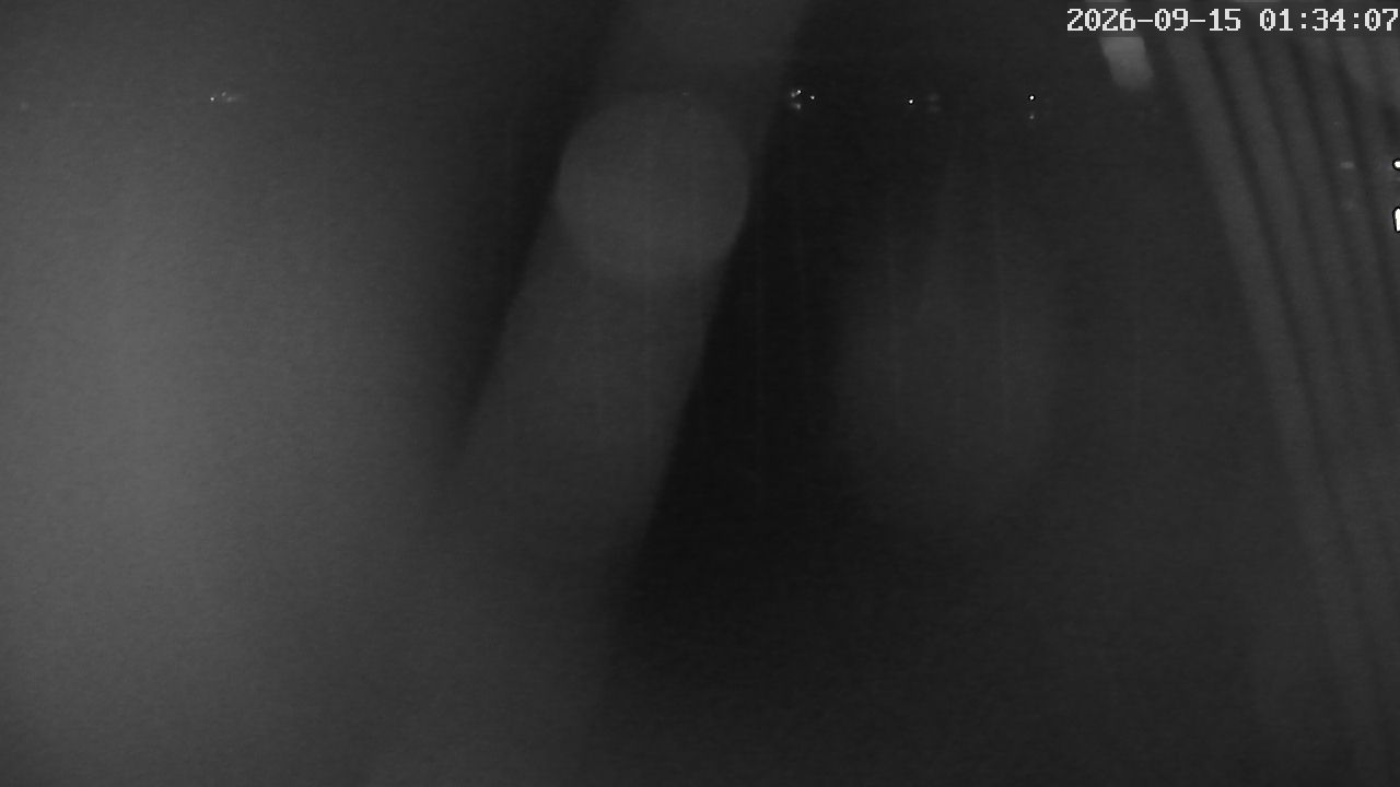 MRSV Bayern Webcam