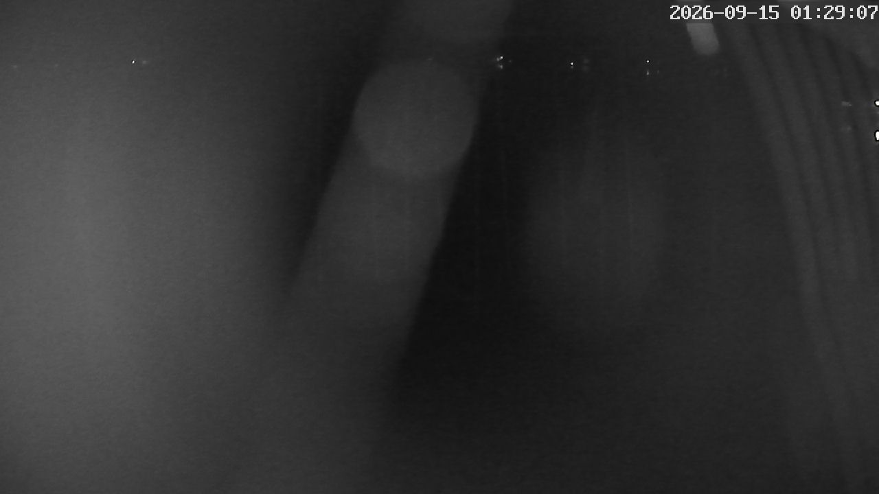 MRSV Bayern Webcam