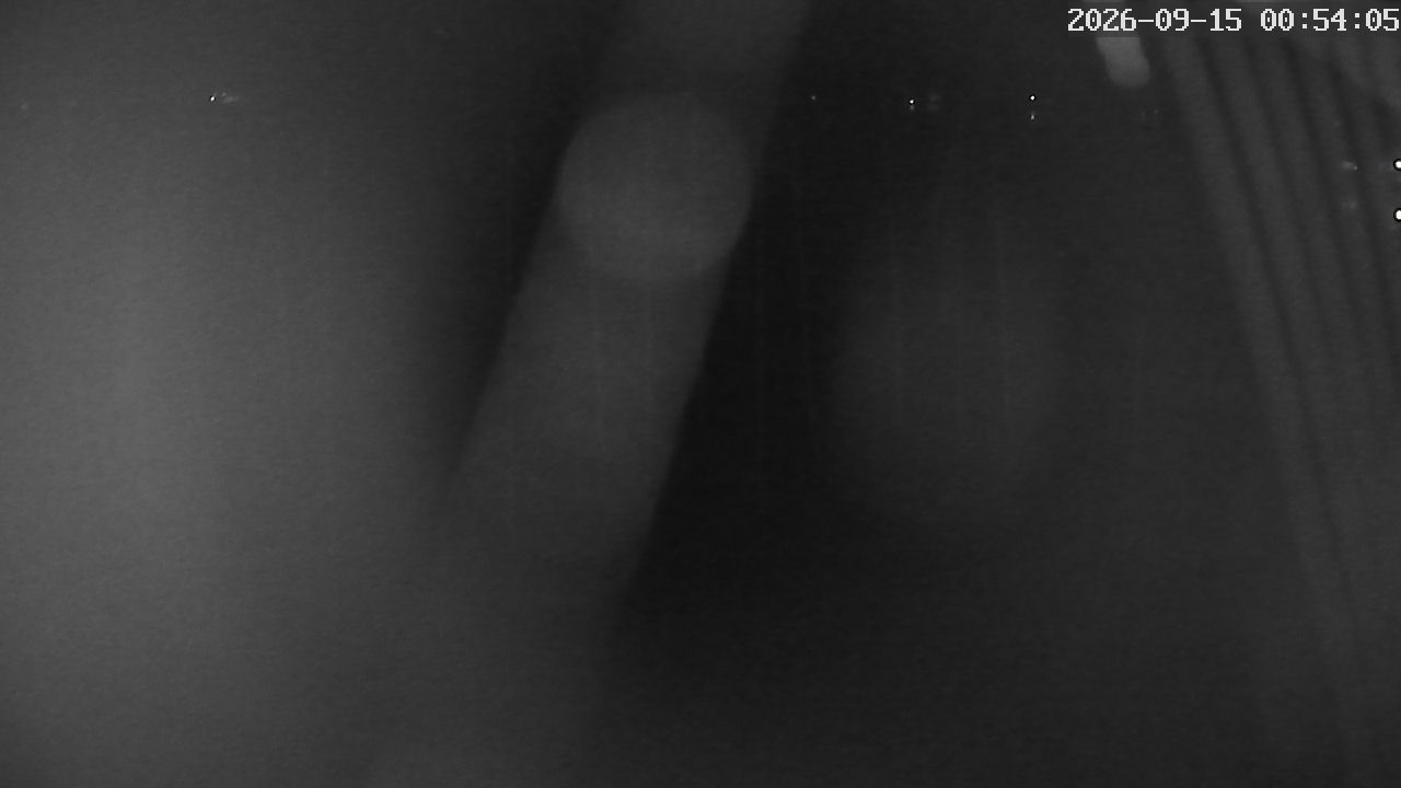 MRSV Bayern Webcam