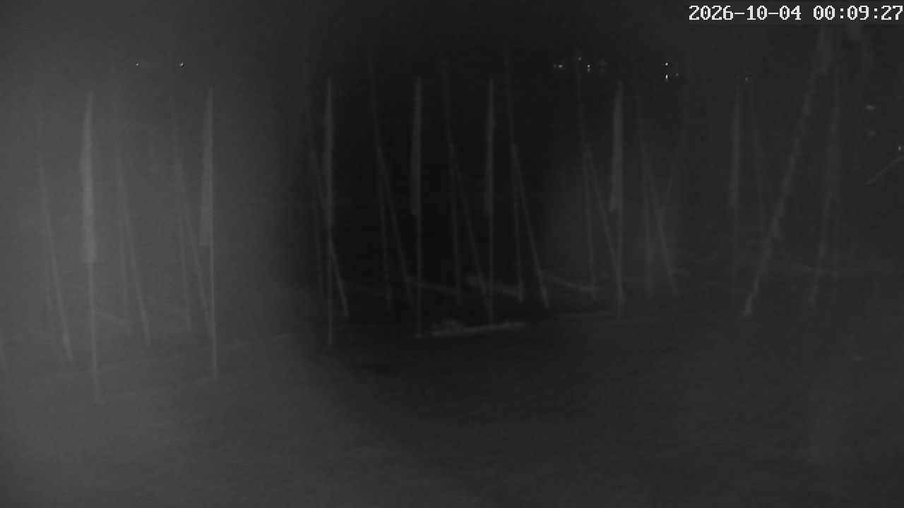 MRSV Bayern Webcam