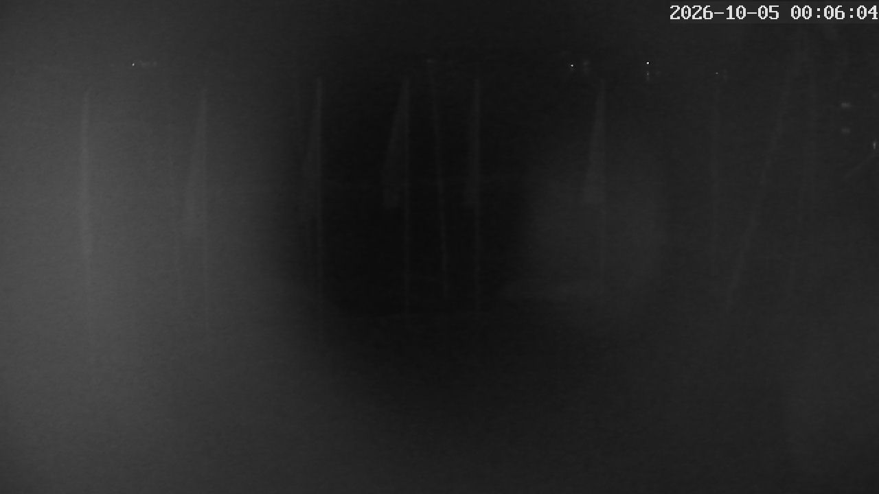 MRSV Bayern Webcam
