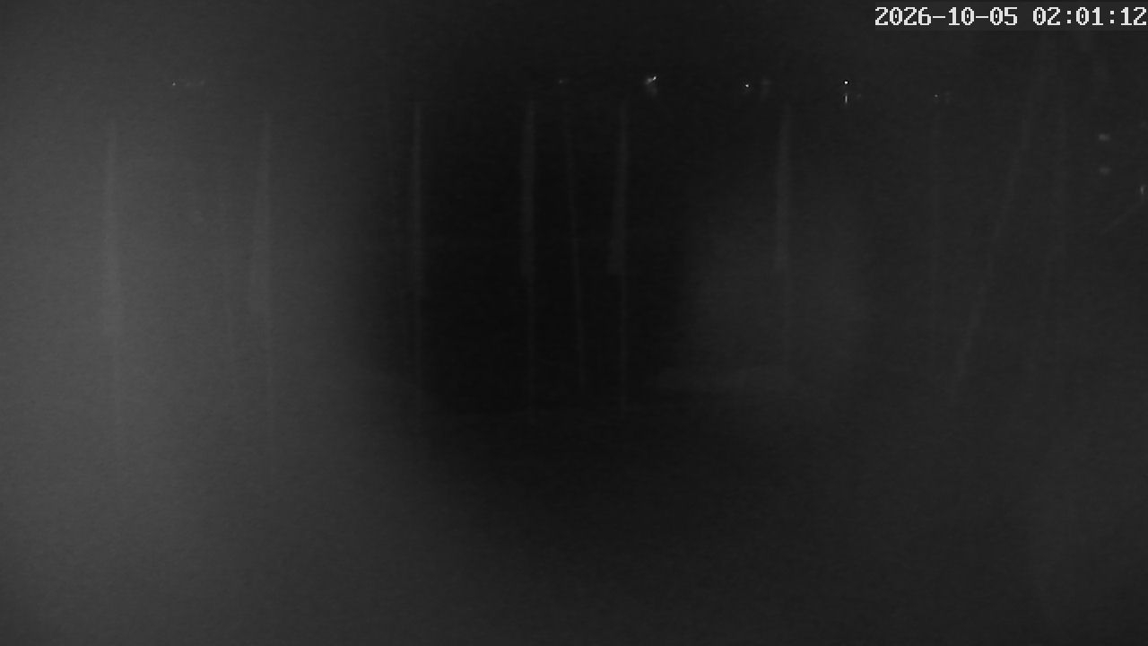 MRSV Bayern Webcam