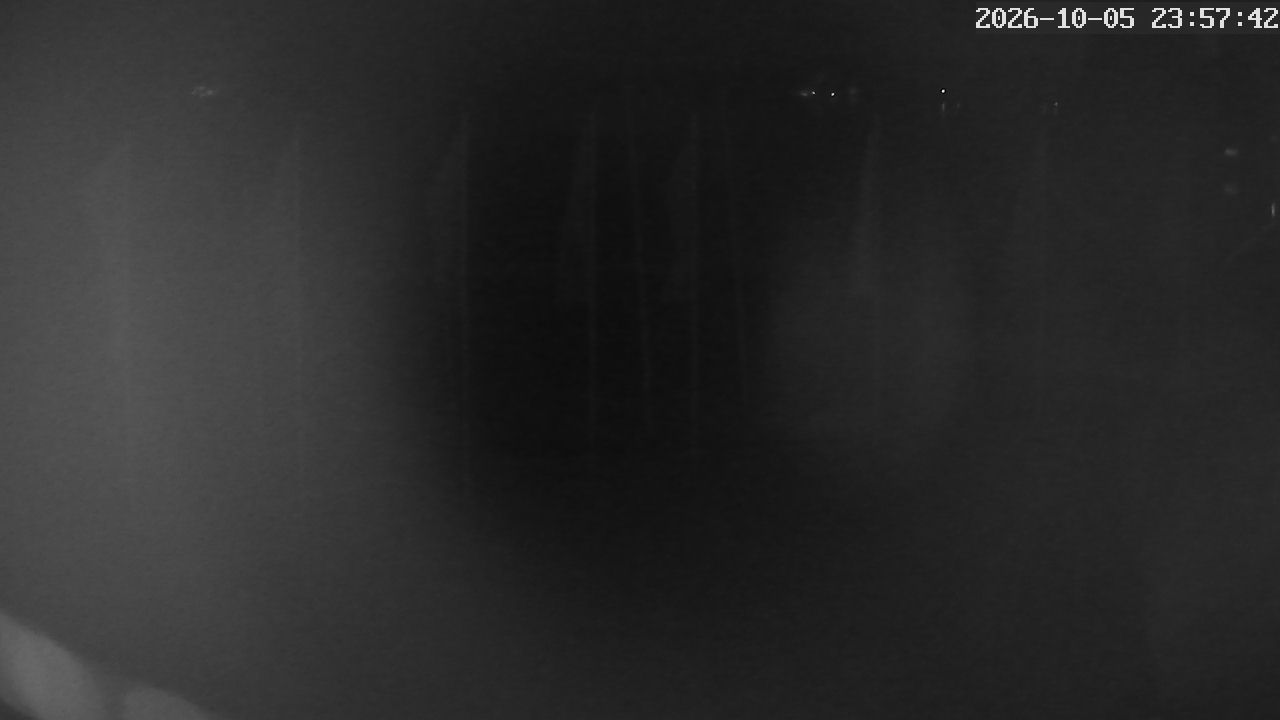 MRSV Bayern Webcam