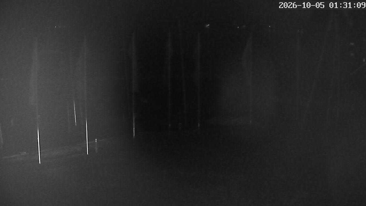 MRSV Bayern Webcam