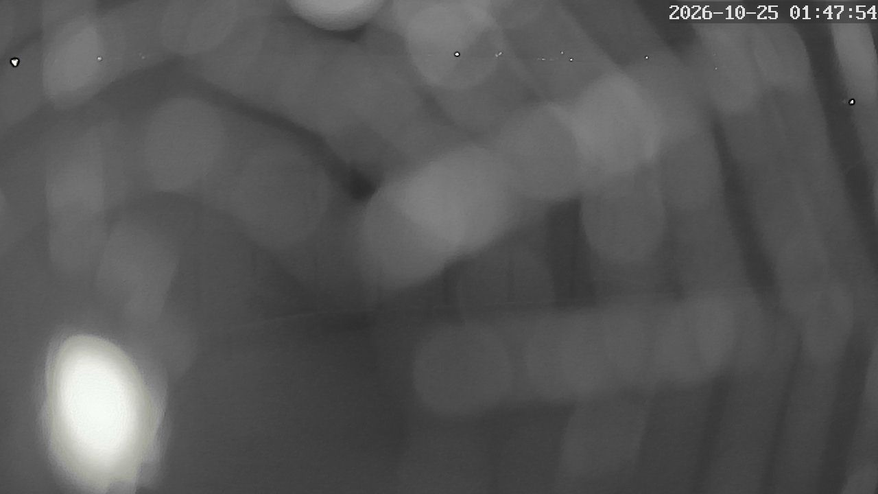 MRSV Bayern Webcam