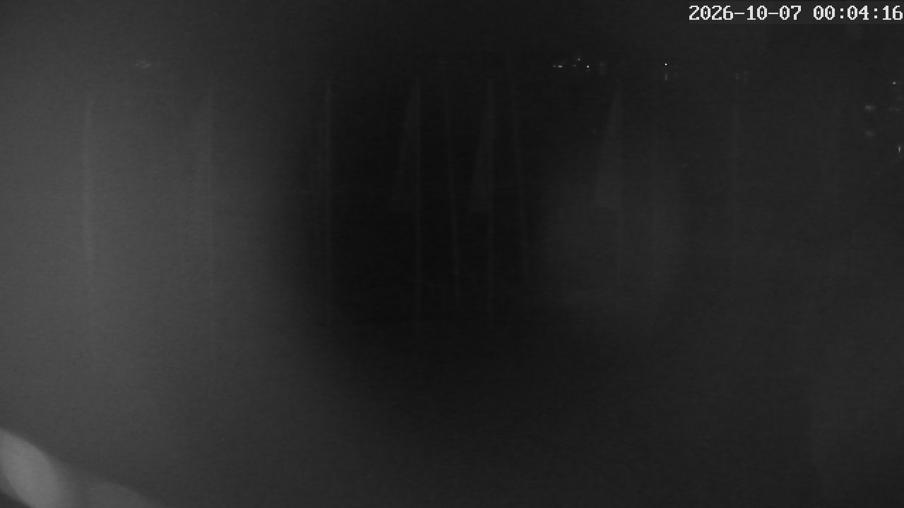 MRSV Bayern Webcam
