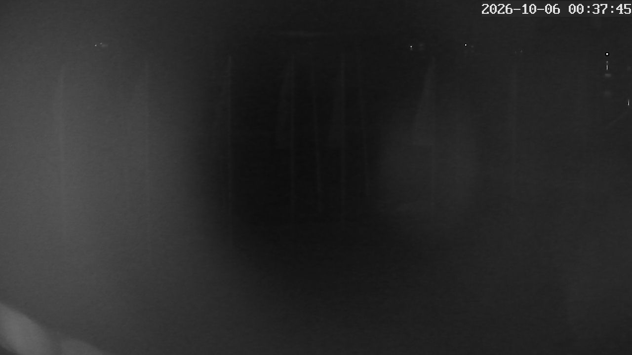 MRSV Bayern Webcam
