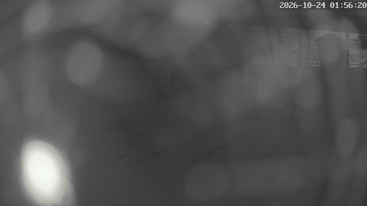 MRSV Bayern Webcam