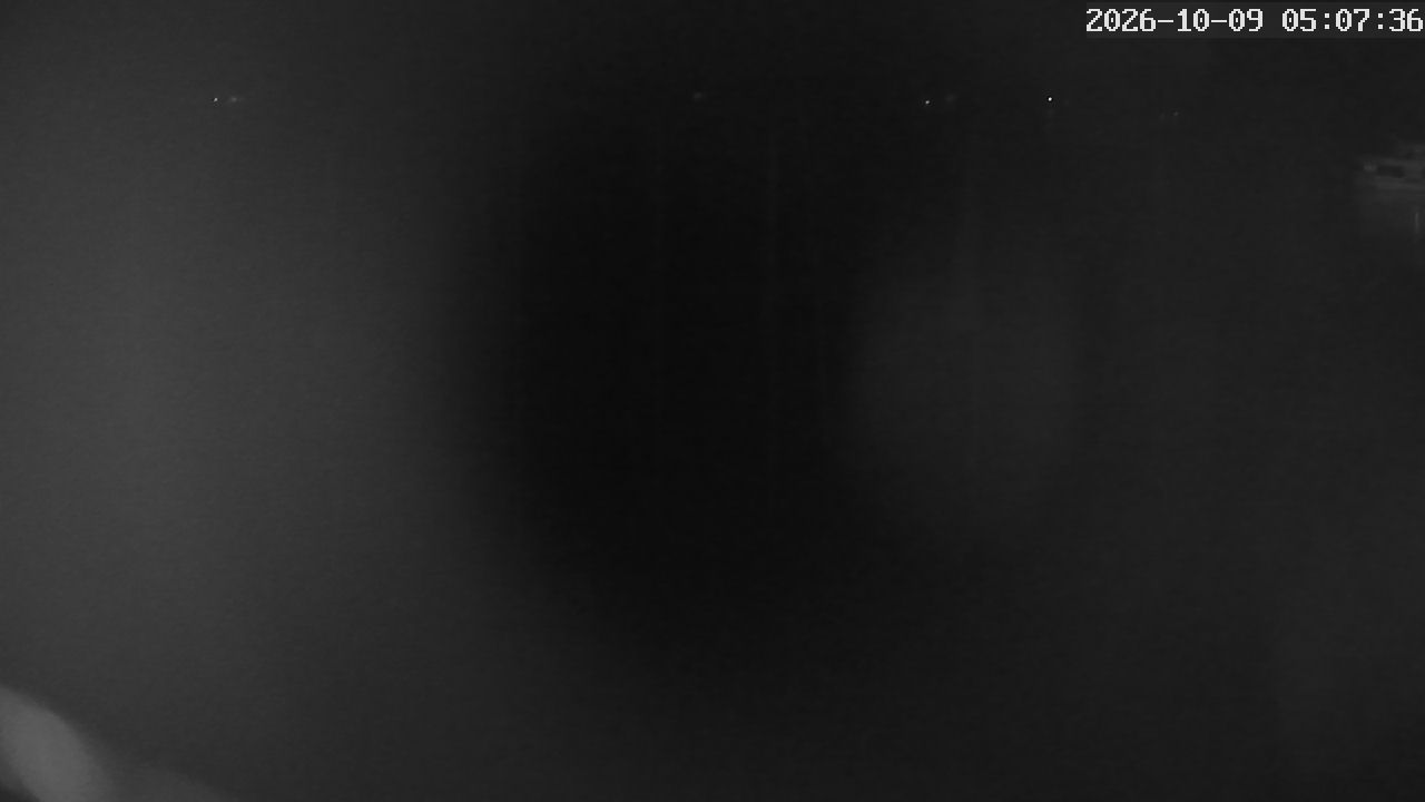MRSV Bayern Webcam